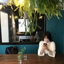 영머리방 이미지