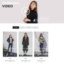 탐나 서울신문