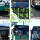 부산진구-7 이미지