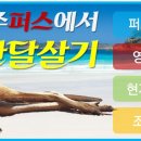 호주퍼스 조기유학,한달살기,자녀무상유학,컬리지유학이민 이미지