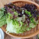 다모아산채 이미지