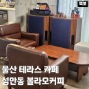 볼라오커피 | 울산 테라스 카페 볼라오커피 중구 성안동 대형카페 추천 단체모임 핸드드립 원두 드립백 내돈내산