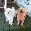 당리동-5 이미지