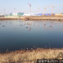 성원아파트 앞 네이버블로그