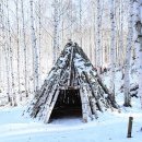 자작나무숲 가는 길 이미지