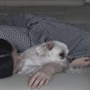 분당-279 | [12월-1월] 임신 12주~17주차 기록 / 리베르여성병원 nt초음파, 니프티검사 / 반전성별 / 임밍아웃