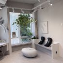 비그로브 비 이미지