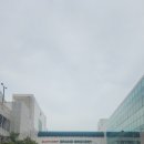 마운틴마트 LC타워점 | [구리 롯데마트] 장보러 갔다가 하루가 사라지는 마성의 마트, 체험 후기