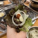 은행나무 갈매기 이미지