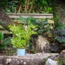 대장장이 이미지