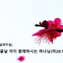 〈삼위일체 주일〉 세상 끝날까지 나와 함께 하시는 하나님(마28:19-20) 이미지