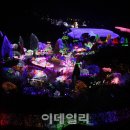 별빛물결시티투어 이미지