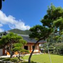 민들래민박 이미지