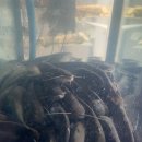 사세충열로1길 이미지