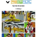 연세이글태권도 이미지