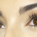 (HL-의학/건강) Eyelashes keep eyes from drying 이미지