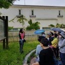 파주 성동리 고분군 이미지