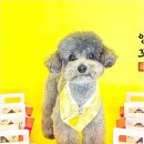 리치펫하우스 이미지