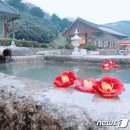 동백4로 이미지