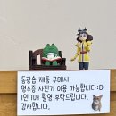 강원이용원 | 춘천 후평동 새로 생긴 양말 가게 동광숍 구경하기