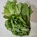 둥구머리협동조합 이미지