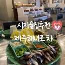 한국지엠제주바로서비스 | 시지술집추천 신매역에서 즐기는 제주도감성, 제주해녀포차 솔직후기