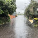 서호동-70 이미지