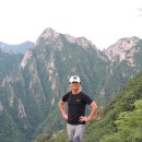 이박삼일 이미지