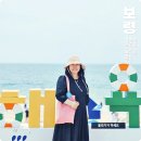 팔도농수산물장터 | 국내기차여행 추천 충남 보령 가볼만한곳 7월 여행지 대천해수욕장 외