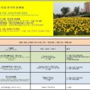 10월 15일. 한국의 탄생화와 부부사랑 / 천수국, 만수국, 만수국아재비 이미지