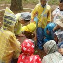 자연동산어린이집 이미지