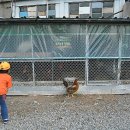 수영강 관리사무소 이미지