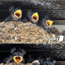 서포항농협 기북지점