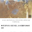 [단독] 5.18 암매장 진실 첫 확인…옛 광주교도소 유골서 5.18 행불자 DNA와 일치 이미지