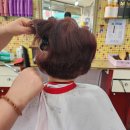 백조 미용실 이미지