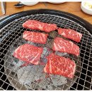 숯불나라