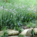 산청한의학박물관 이미지