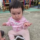 새장유어린이집 이미지