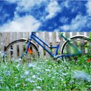 영혼의친구 이미지