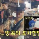 포차씨스타 이미지