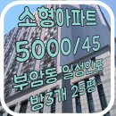 일성in4 네이버블로그