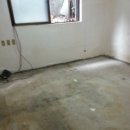 크린피아 이미지