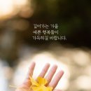 11월14(목)출석부(마음에 감기가 걸리면)💏 이미지