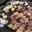 별들의 기침 이미지