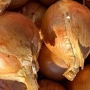 산직농장 이미지