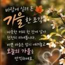 꽃반지~ 이미지