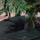 라파우자 이미지