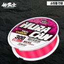 다솔 스테이 | 올시즌 사용한 배스낚시줄 카본라인 사용 후기!