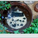 벧엘한의원 이미지