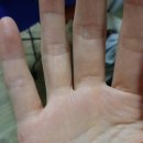 대일세탁소 이미지